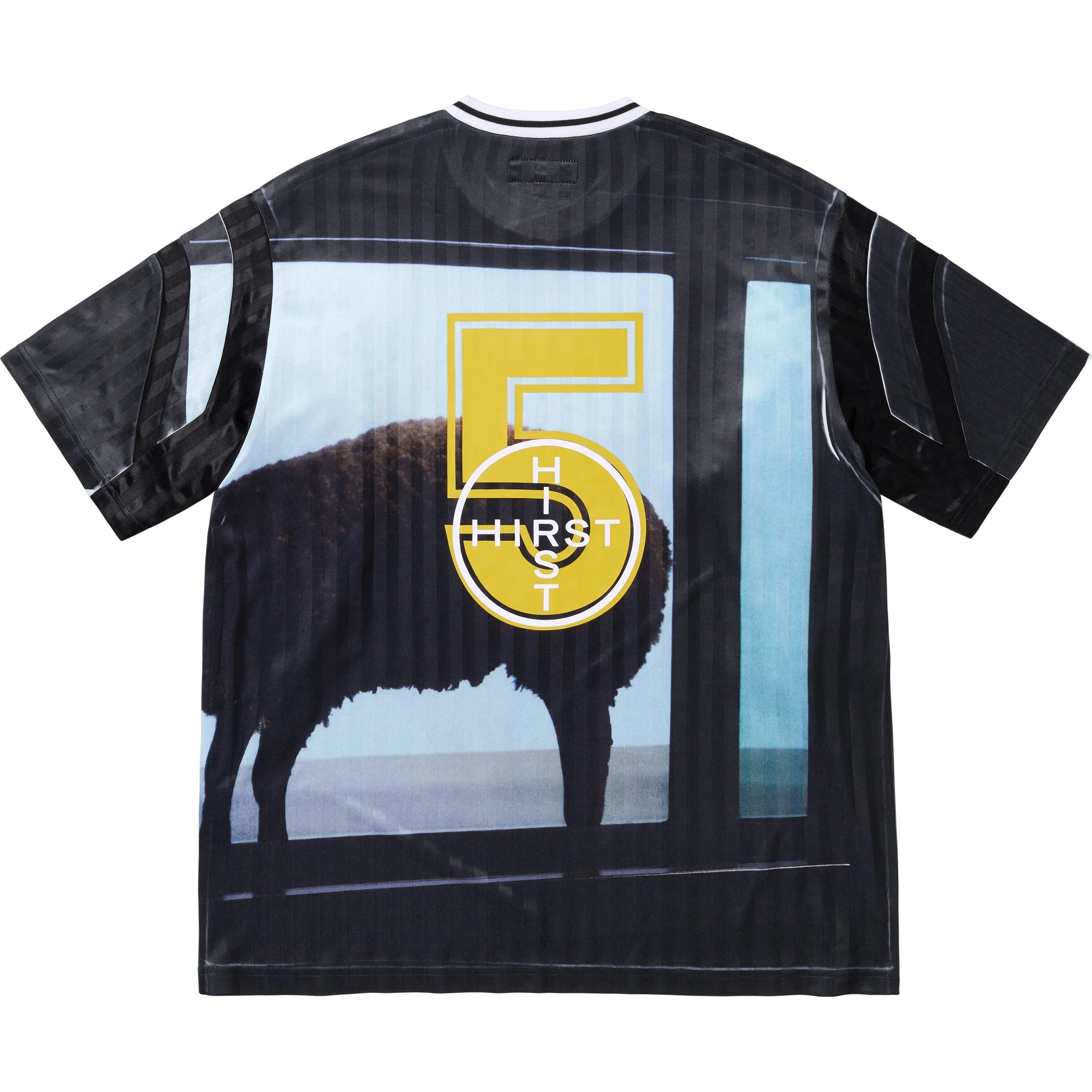Supreme/Damien Hirst Soccer Jersey view 9